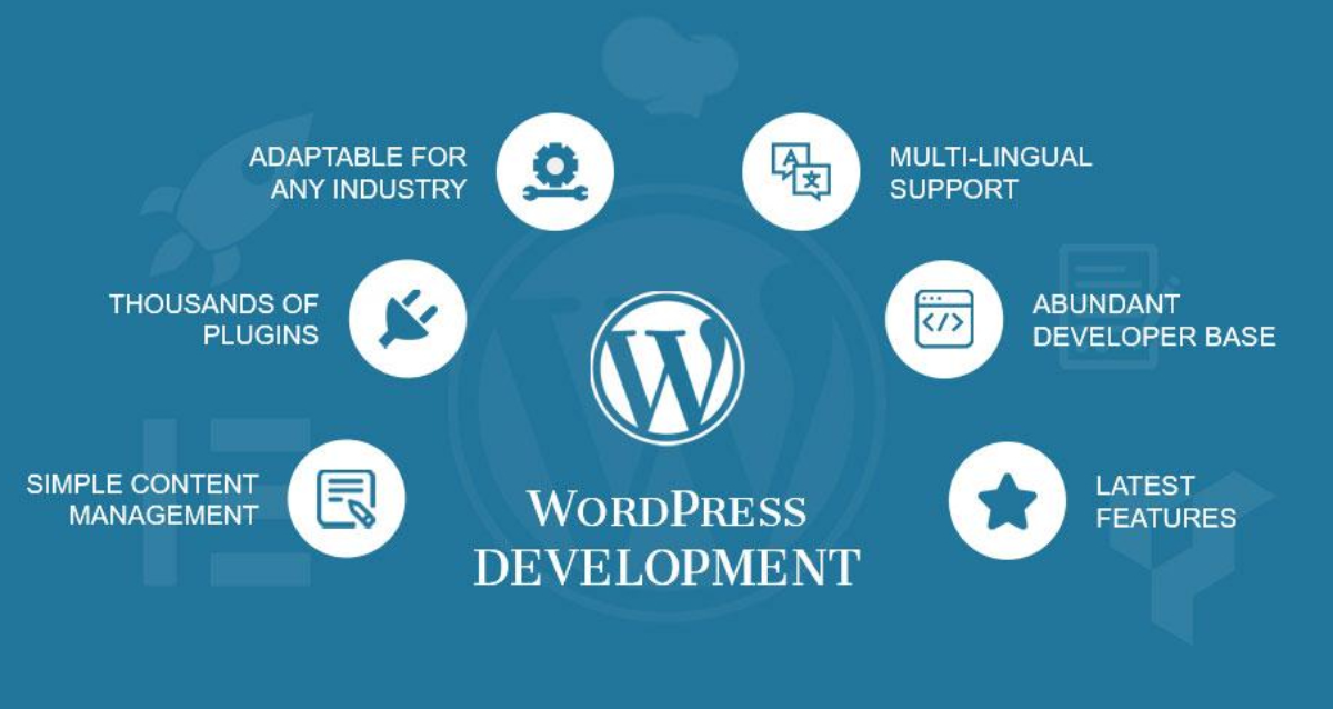 WordPress Website Development Cost in India